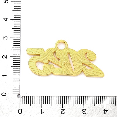Alloy Enamel Pendants ENAM-P256-01B-G02-1