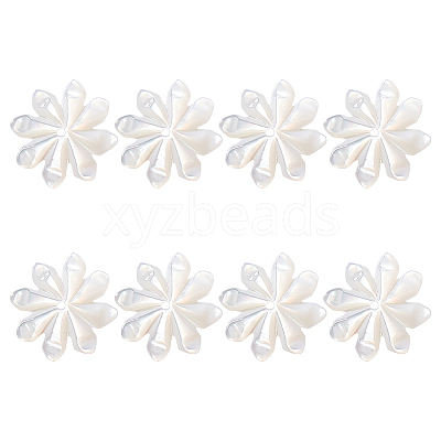 8Pcs Natural Shell Beads FIND-GO0003-28-1