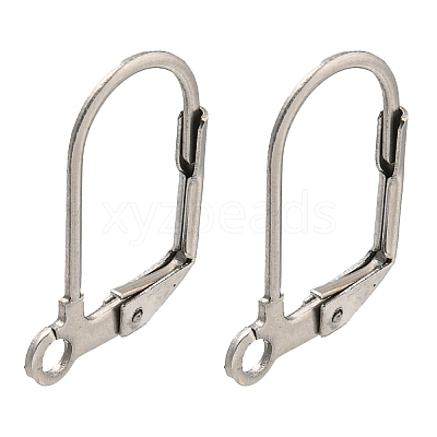 Non-Tarnish 304 Stainless Steel Leverback Earring Findings STAS-P360-02B-P-1