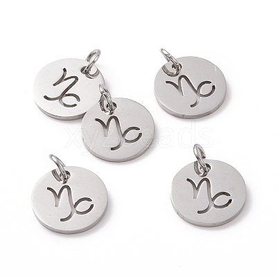 Non-Tarnish 304 Stainless Steel Charms STAS-Q201-T445-10S-1