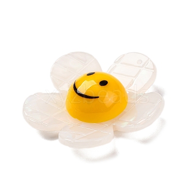 Acrylic Pendants OACR-Q055-03A-1
