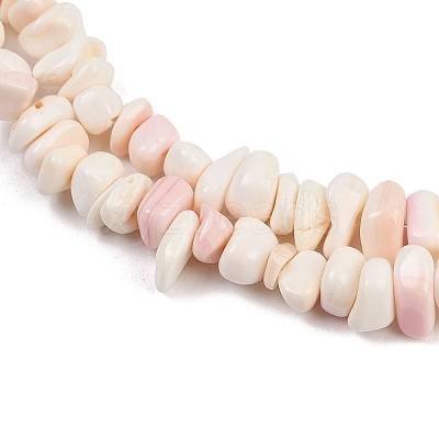 Natural Pink Shell Beads Strands X-SSHEL-L016-19-1