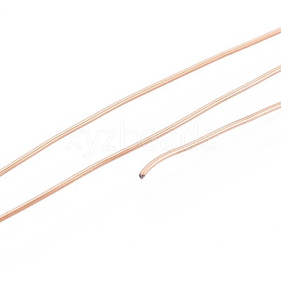 10M 304 Stainless Steel Wire TWIR-N005-0.6mm-RG-1