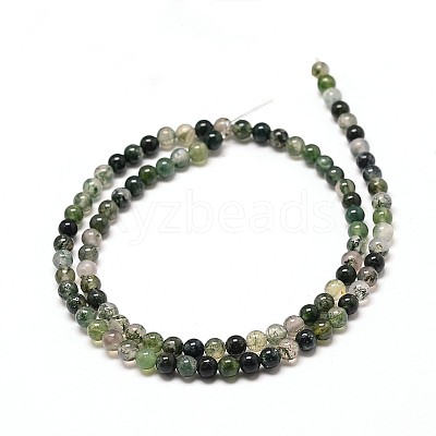 Natural Moss Agate Round Bead Strands G-P072-01-10mm-1
