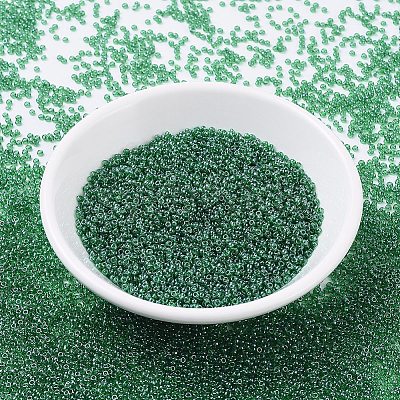 MIYUKI Round Rocailles Beads X-SEED-G007-RR0173-1