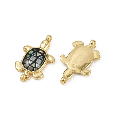 Brass Pave Natural Paua Shell Tortoise Connector Charms KK-C093-21G-1
