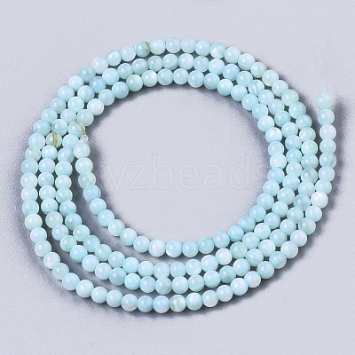 Natural Freshwater Shell Beads Strands BSHE-T009-01C-1