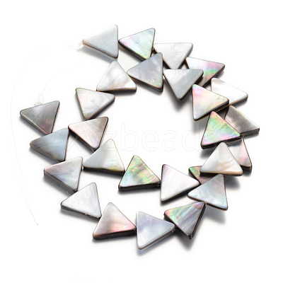 Natural Black Lip Shell Bead Strands X-SHEL-R018-03-1
