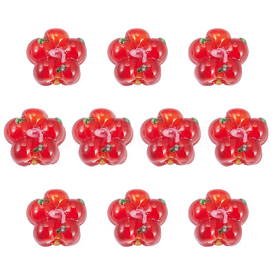 10Pcs Handmade Lampwork Beads LAMP-TADJ0001-01E-1