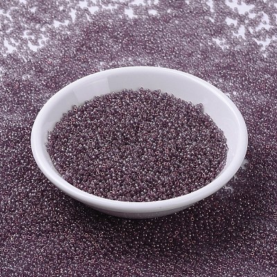 MIYUKI Round Rocailles Beads SEED-X0054-RR2448-1