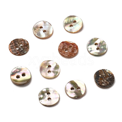 Abalone Shell/Paua Shell BSHE-I011-04D-1