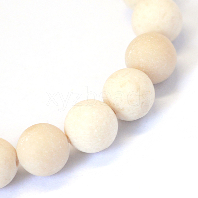 Frosted Natural Fossil Round Bead Strands X-G-E334-8mm-22-1
