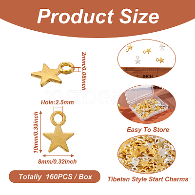 Tibetan Style Alloy Charms TIBEP-PJ0001-01-1