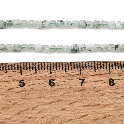 Natural Tree Agate Beads Strands GG-CBA0C5B-A01-1
