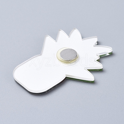 Fridge Magnets Acrylic Decorations AJEW-X0009-04-1