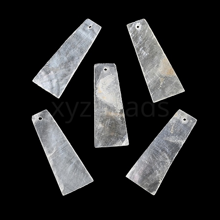 Natural Capiz Shell Pendants BSHE-Z003-27-1