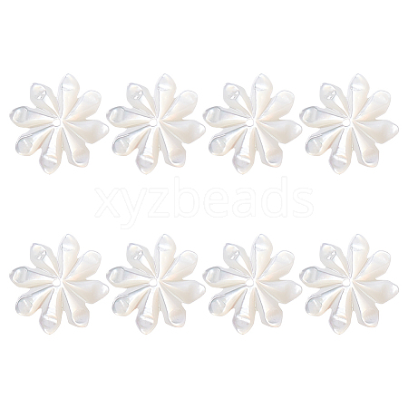 8Pcs Natural Shell Beads FIND-GO0003-28-1