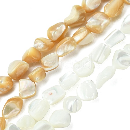 2 Strands 2 Colors Natural Shell Beads Strands SHEL-CJ0001-35-1