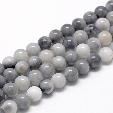 Natural Hawk's Eye Beads Strands G-R446-10mm-17-1