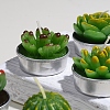 Cactus Paraffin Smokeless Candles DIY-G024-C-4