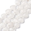 Natural Quartz Crystal Beads Strands G-P570-E21-02-2