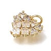 Brass Pave Cubic Zirconia Charms CU-CBAEEA8-13A-G-2