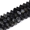 Natural Larvikite Beads Strands G-N327-05-28-4