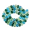 Transparent Glass Beads Strands GLAA-T023-08E-2