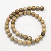 Natural Fossil Coral Round Bead Strands G-N0166-05-8mm-3
