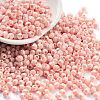 Baking Paint Glass Seed Beads SEED-A032-02P-1