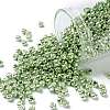 TOHO 8/0 Round Beads SEED-TR08-0560-1