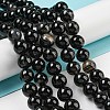 Natural Black Agate Beads Strands G-G391-10mm-01-4