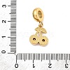 304 Stainless Steel Hyacinth Rhinestone Fruit European Dangle Charms STAS-D153-24G-3