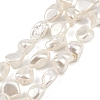 Shell Pearl Beads Strands BSHE-C008-01-1