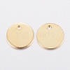 304 Stainless Steel Charms STAS-H436-66-6mm-2