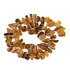 Natural Amber Beads Strands G-P619-A02-01-3