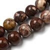 Natural Gemstone Beads Strands G-R494-A22-03-1