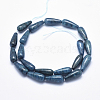 Natural Apatite Beads Strands G-K256-41B-2