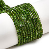 Natural Green Diopside Beads Strands G-NH0046-A01-01-2