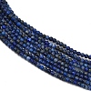Natural Lapis Lazuli Beads Strands G-L628-A01-2mm-02-4