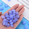 Imitation Jelly Acrylic Beads LS-MACR-S373-92-E01-6