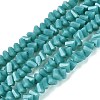 Opaque Glass Beads Strands GLAA-N019-3mm-19-1