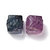 Natural Fluorite Beads G-P483-09-3