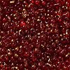 Spray Painted Glass Seed Beads SEED-F005-11A-04-3