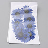 Pressed Dried Flowers DIY-WH0308-412E-1-2