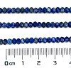 Natural Lapis Lazuli Beads Strands G-L587-B03-02-4