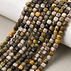 Natural Bumblebee Jasper Beads Strands GG-CBA0C5B-A04-1