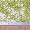 MIYUKI Delica Beads SEED-J020-DB0262-4