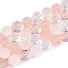 Electroplate Glass Beads Strands EGLA-N022-03A-A08-1