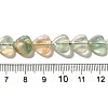 Natural Green Fluorite Beads Strands G-R190-10mm-47-5